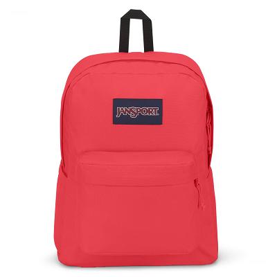 Pink JanSport SuperBreak® Plus Laptop Backpacks | US_JS224