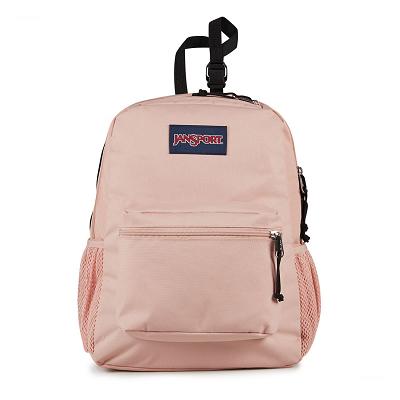 Rose JanSport CENTRAL ADAPTIVE Laptop Backpacks | US_JS344