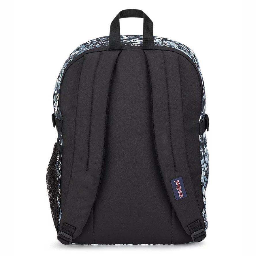 Blue / Black JanSport Main Campus School Backpacks | US_JS438