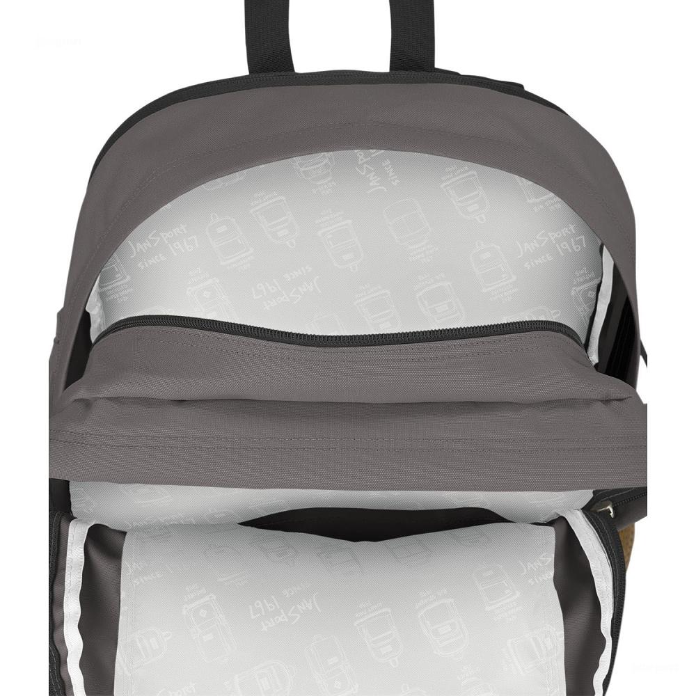 Grey JanSport Main Campus School Backpacks | US_JS196