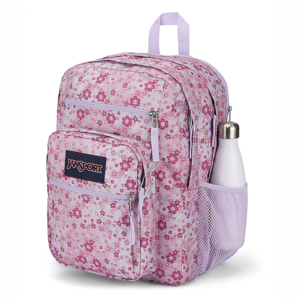 Pink JanSport BIG STUDENT Laptop Backpacks | US_JS014