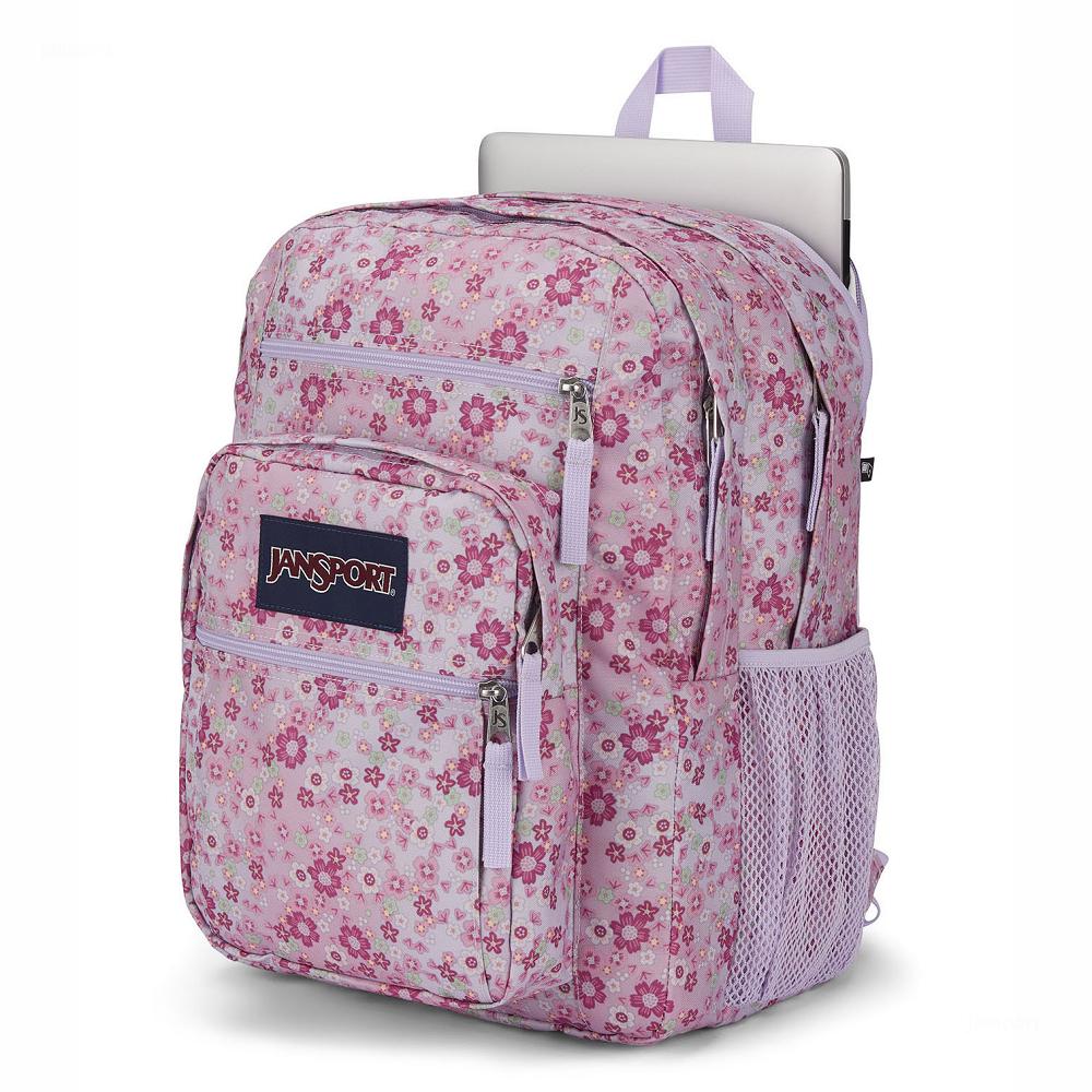 Pink JanSport BIG STUDENT Laptop Backpacks | US_JS014