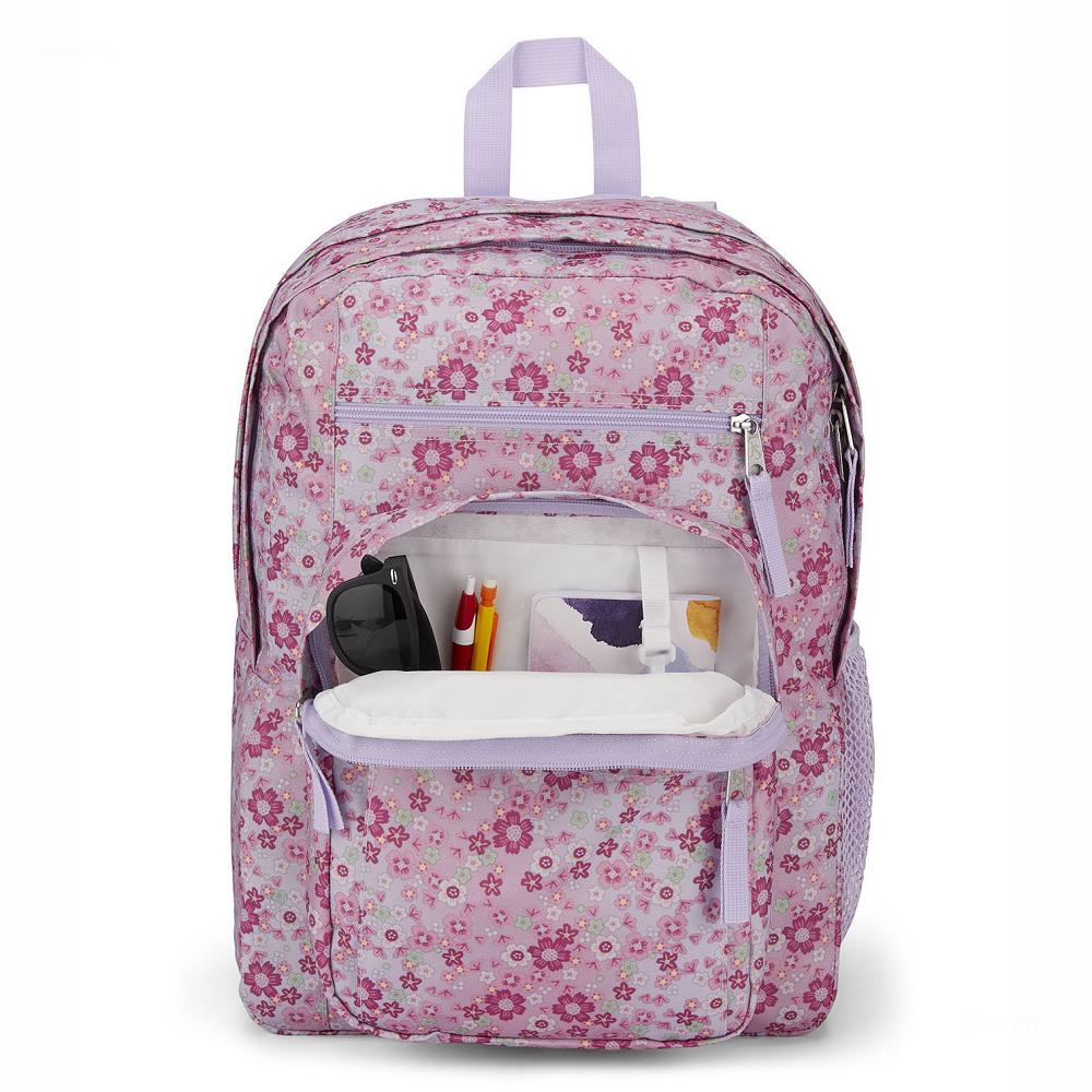 Pink JanSport BIG STUDENT Laptop Backpacks | US_JS014