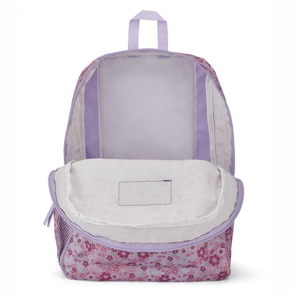 Pink JanSport CROSS TOWN School Backpacks | US_JS369