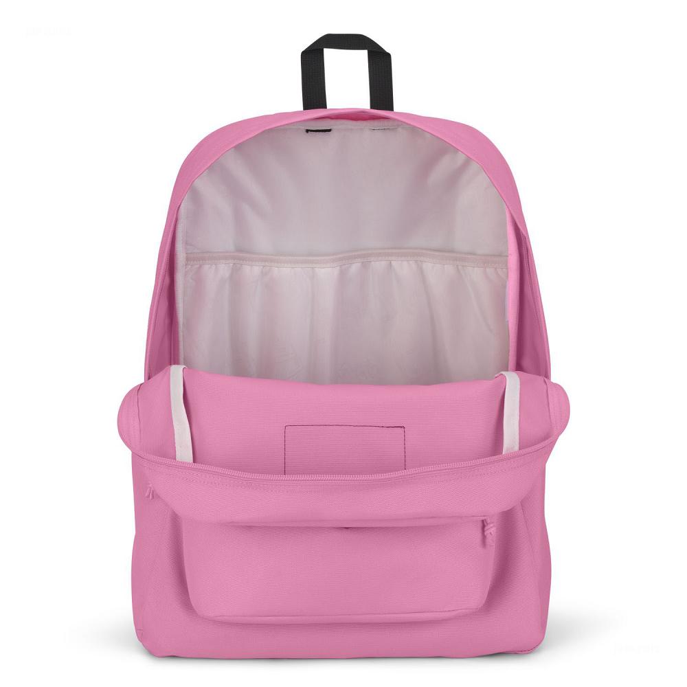 Pink JanSport SuperBreak® Plus Laptop Backpacks | US_JS155