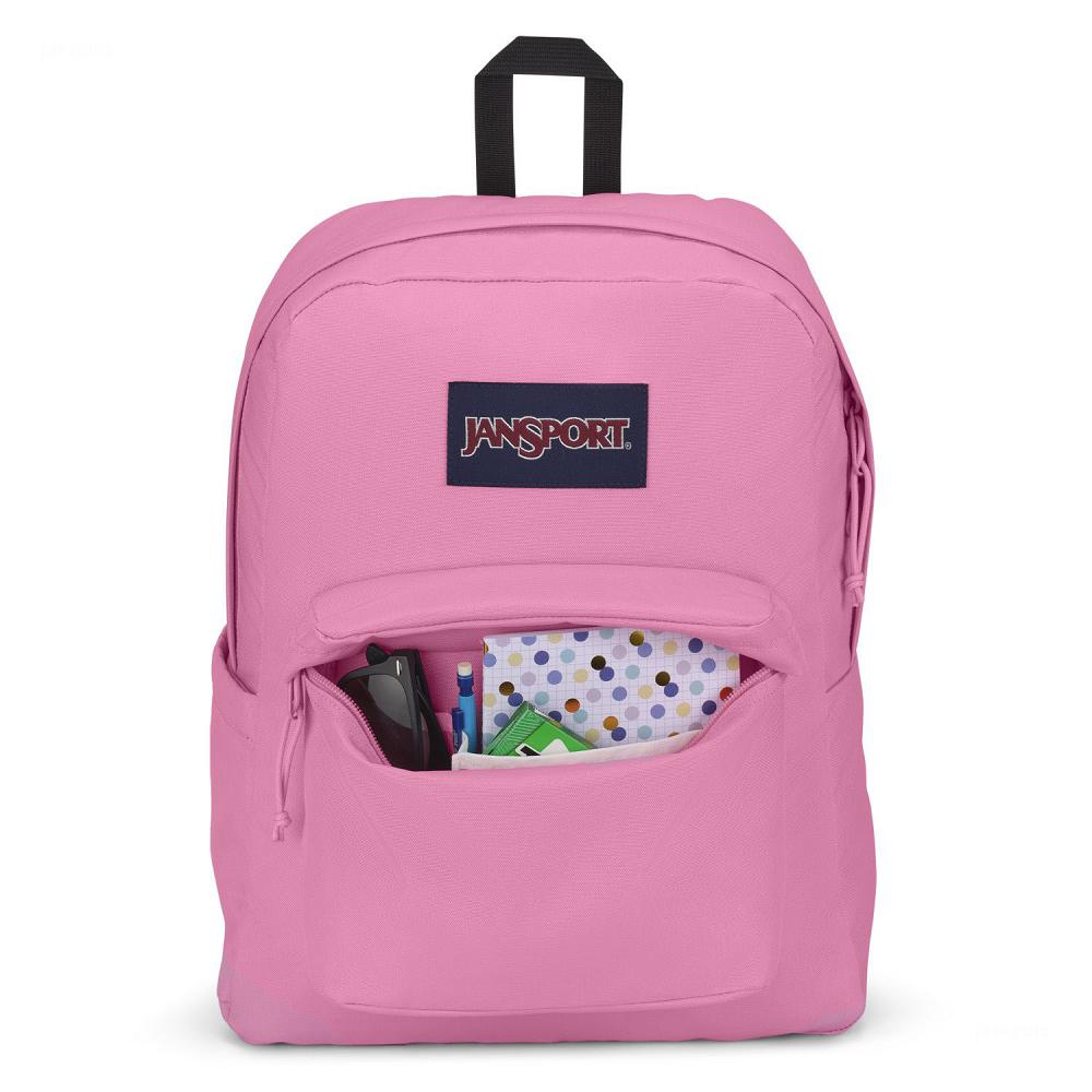 Pink JanSport SuperBreak® Plus Laptop Backpacks | US_JS155