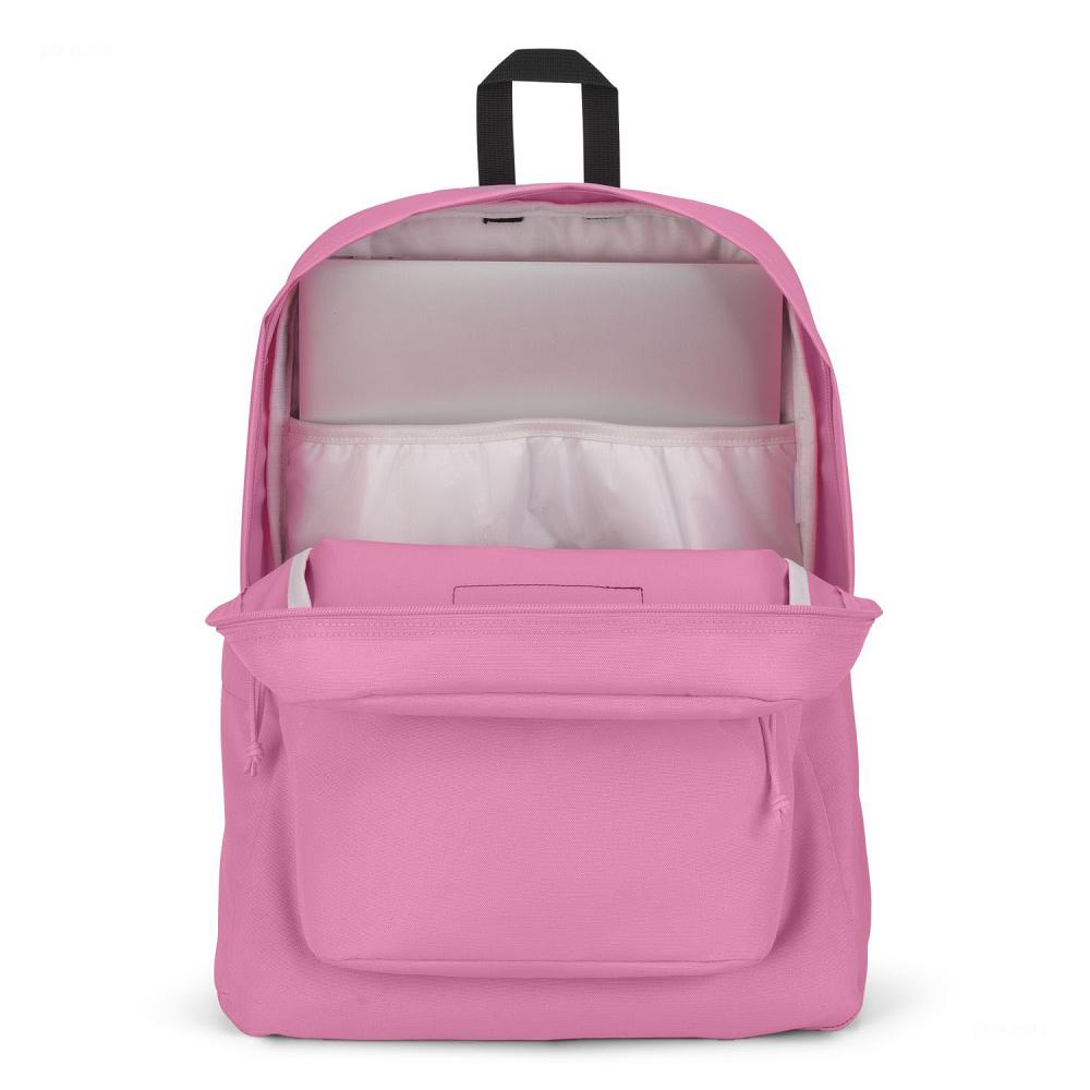 Pink JanSport SuperBreak® Plus Laptop Backpacks | US_JS155