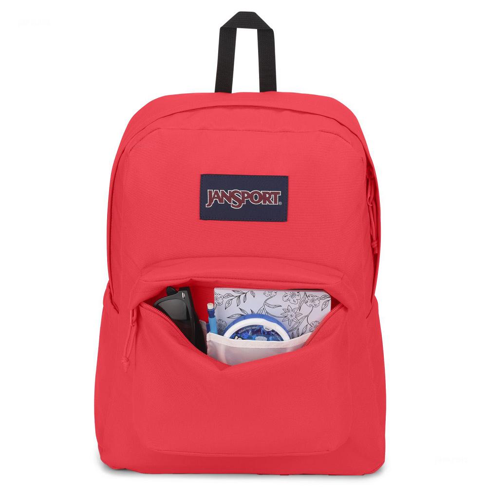 Pink JanSport SuperBreak® Plus Laptop Backpacks | US_JS224