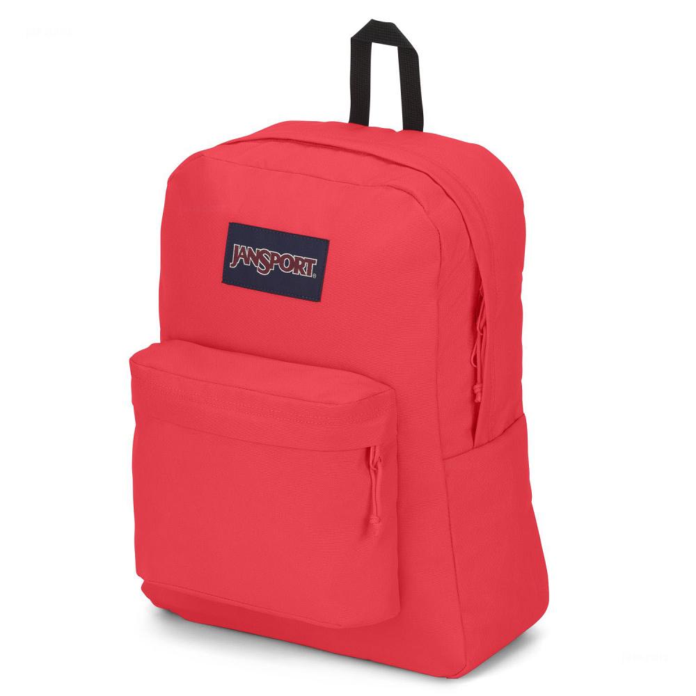 Pink JanSport SuperBreak® Plus Laptop Backpacks | US_JS224