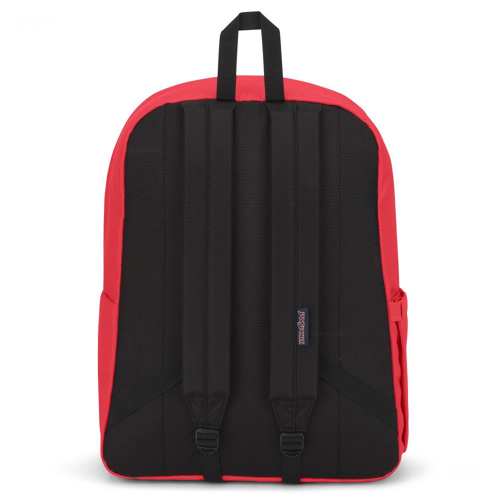 Pink JanSport SuperBreak® Plus Laptop Backpacks | US_JS224