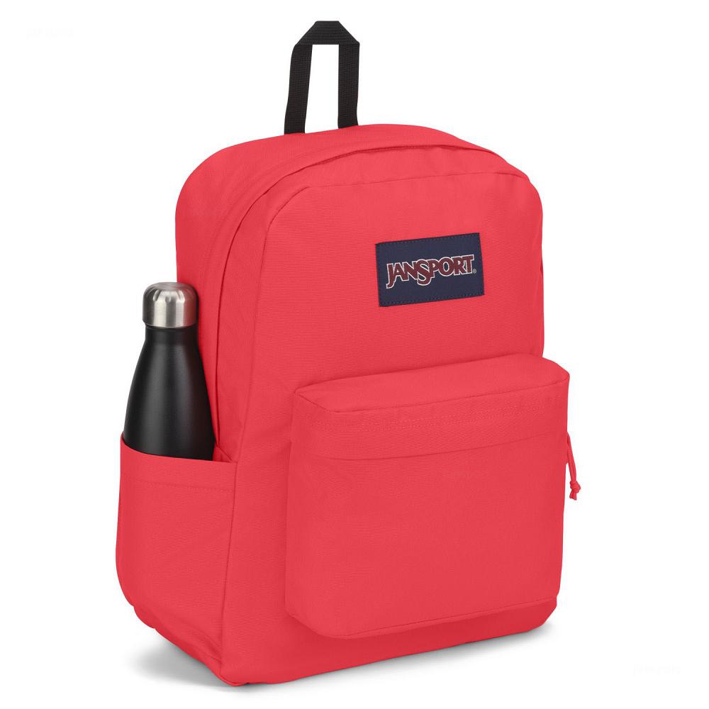 Pink JanSport SuperBreak® Plus Laptop Backpacks | US_JS224