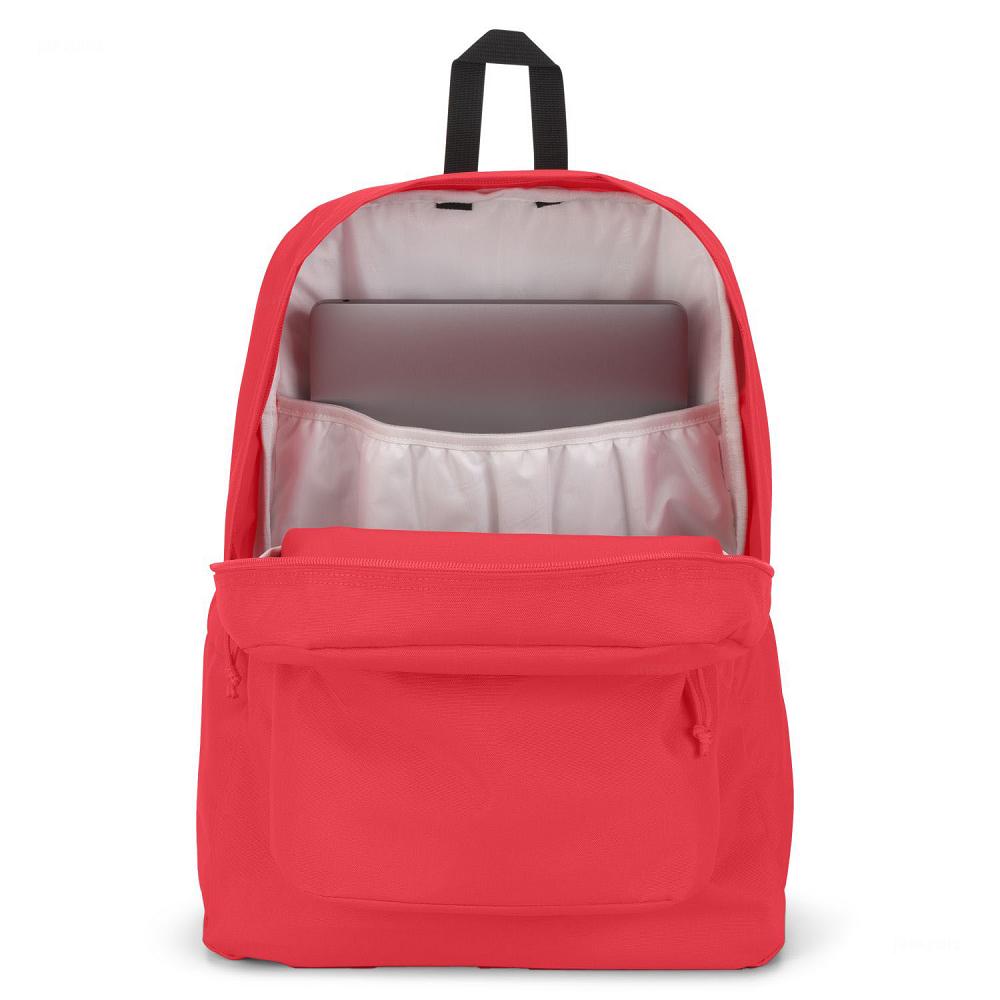 Pink JanSport SuperBreak® Plus Laptop Backpacks | US_JS224