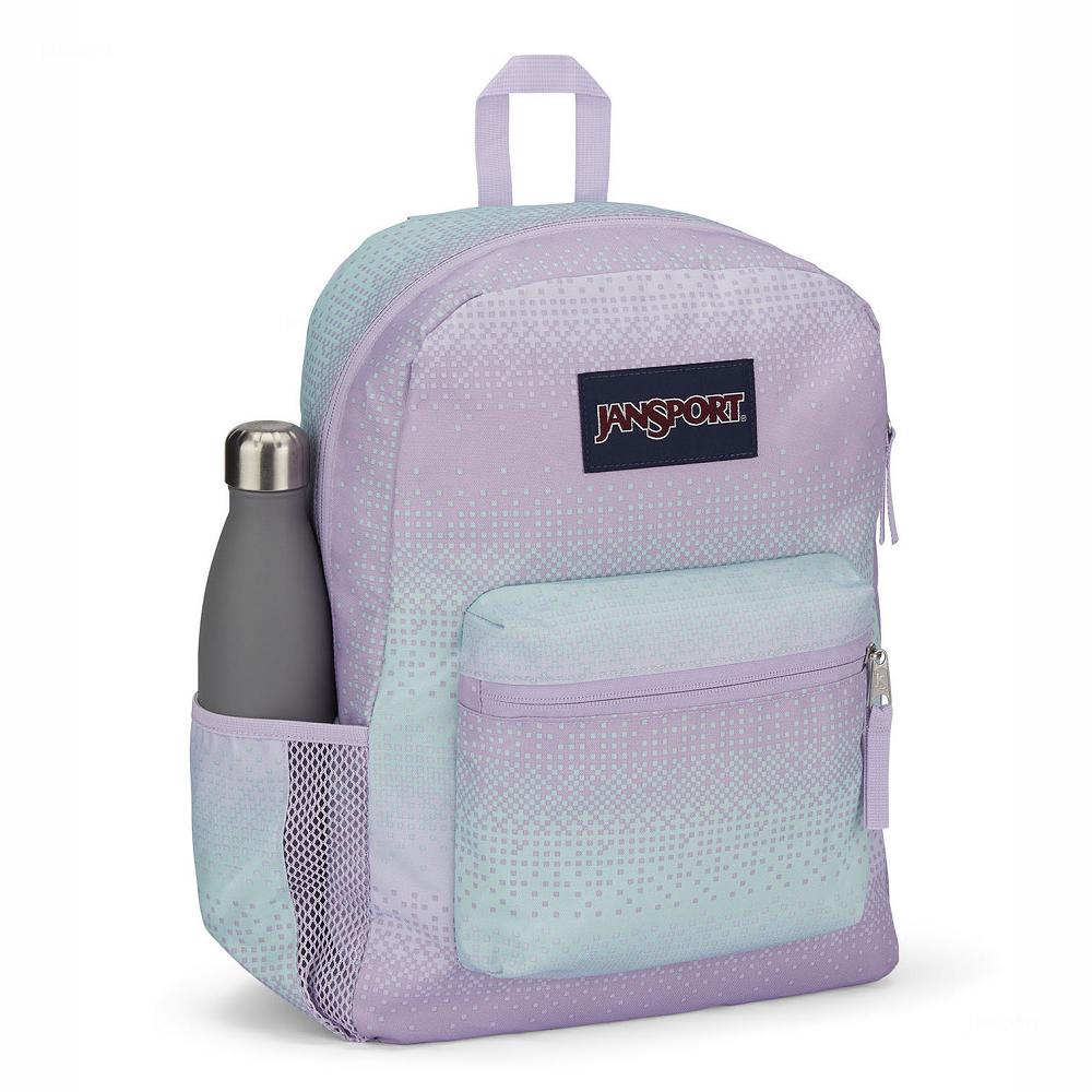 Purple / Green JanSport CROSS TOWN School Backpacks | US_JS572