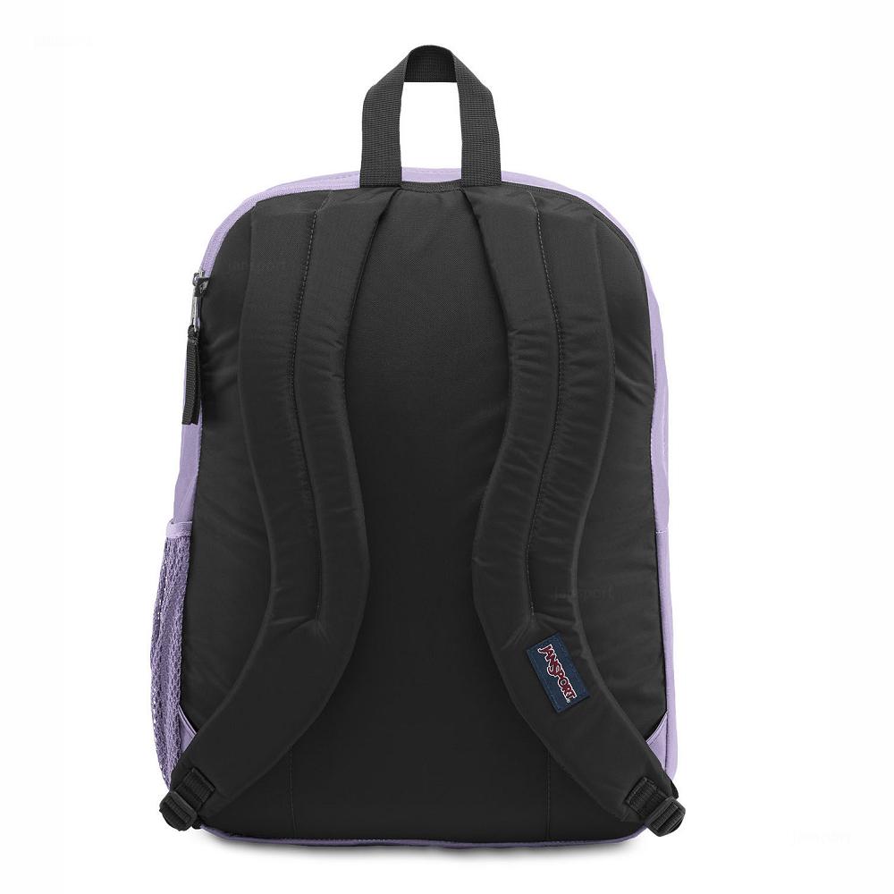 Purple JanSport BIG STUDENT Laptop Backpacks | US_JS384