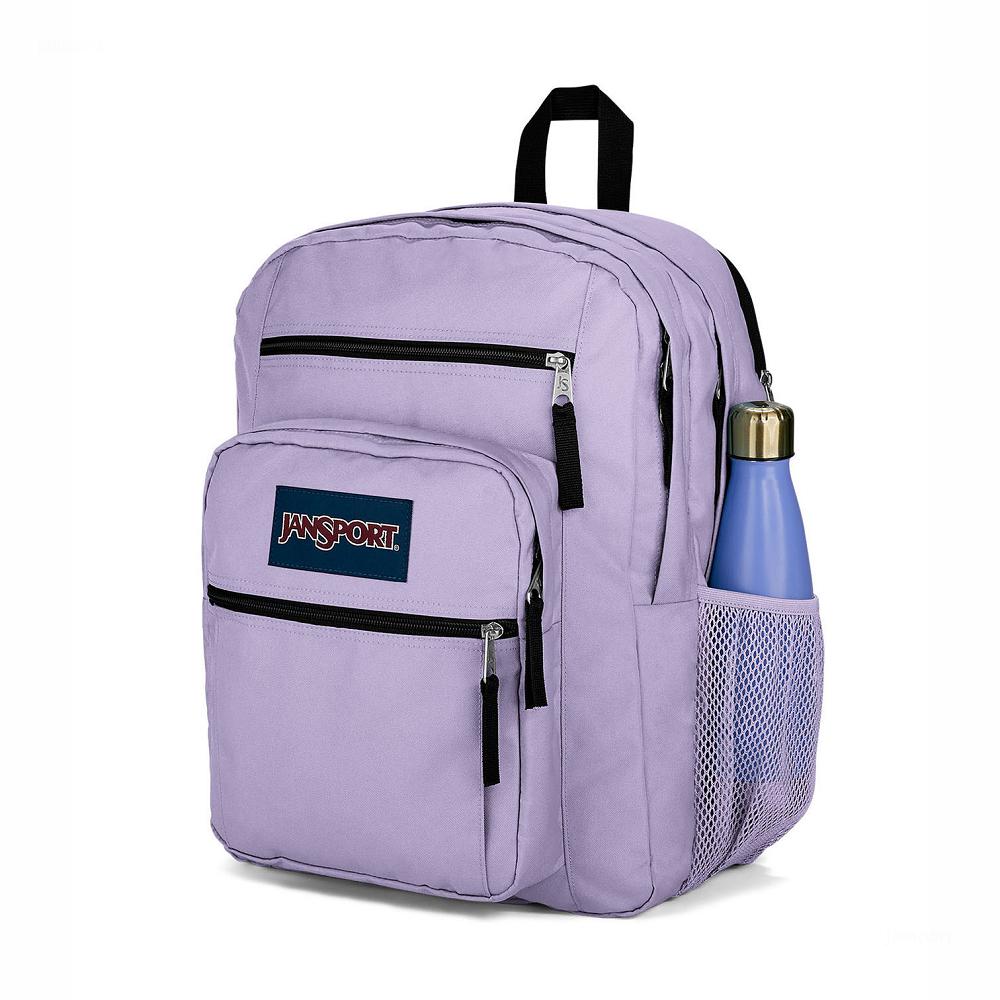 Purple JanSport BIG STUDENT Laptop Backpacks | US_JS384