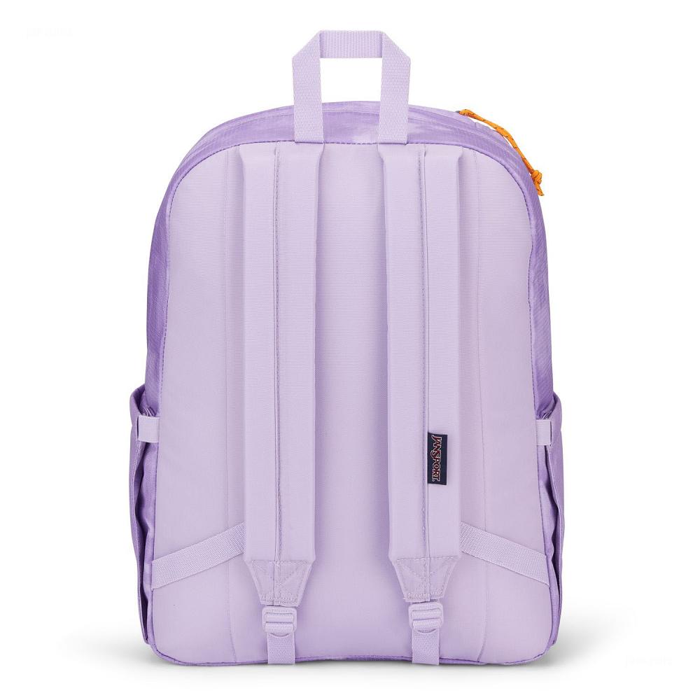 Purple JanSport Double Break Laptop Backpacks | US_JS486