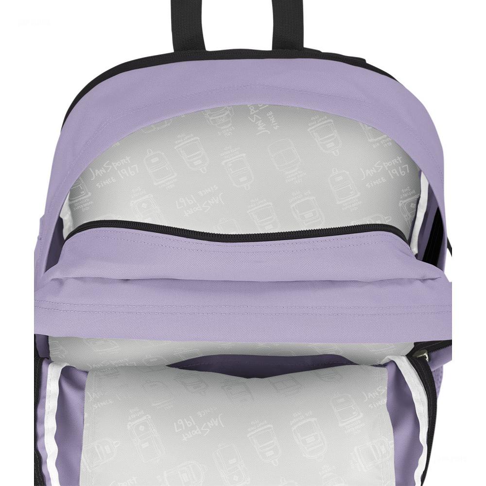 Purple JanSport Main Campus Laptop Backpacks | US_JS536