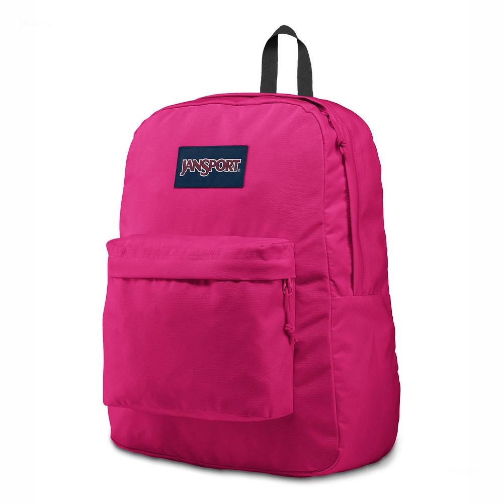 Purple JanSport SuperBreak® Plus Laptop Backpacks | US_JS02B