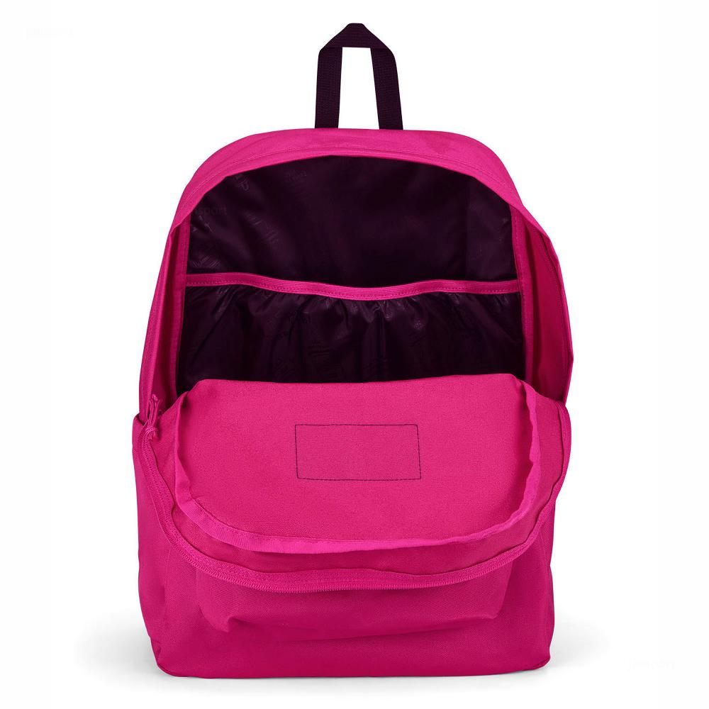 Purple JanSport SuperBreak® Plus Laptop Backpacks | US_JS02B