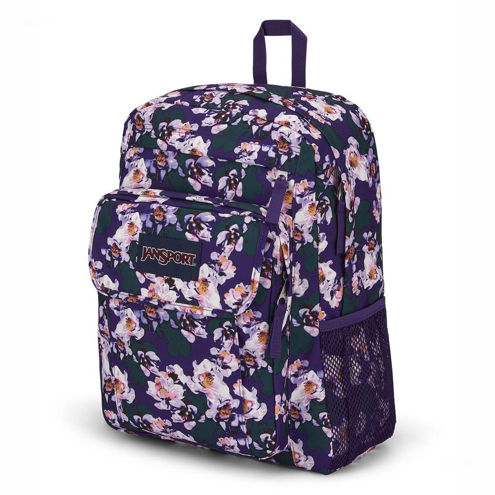 Purple JanSport UNION PACK Laptop Backpacks | US_JS431