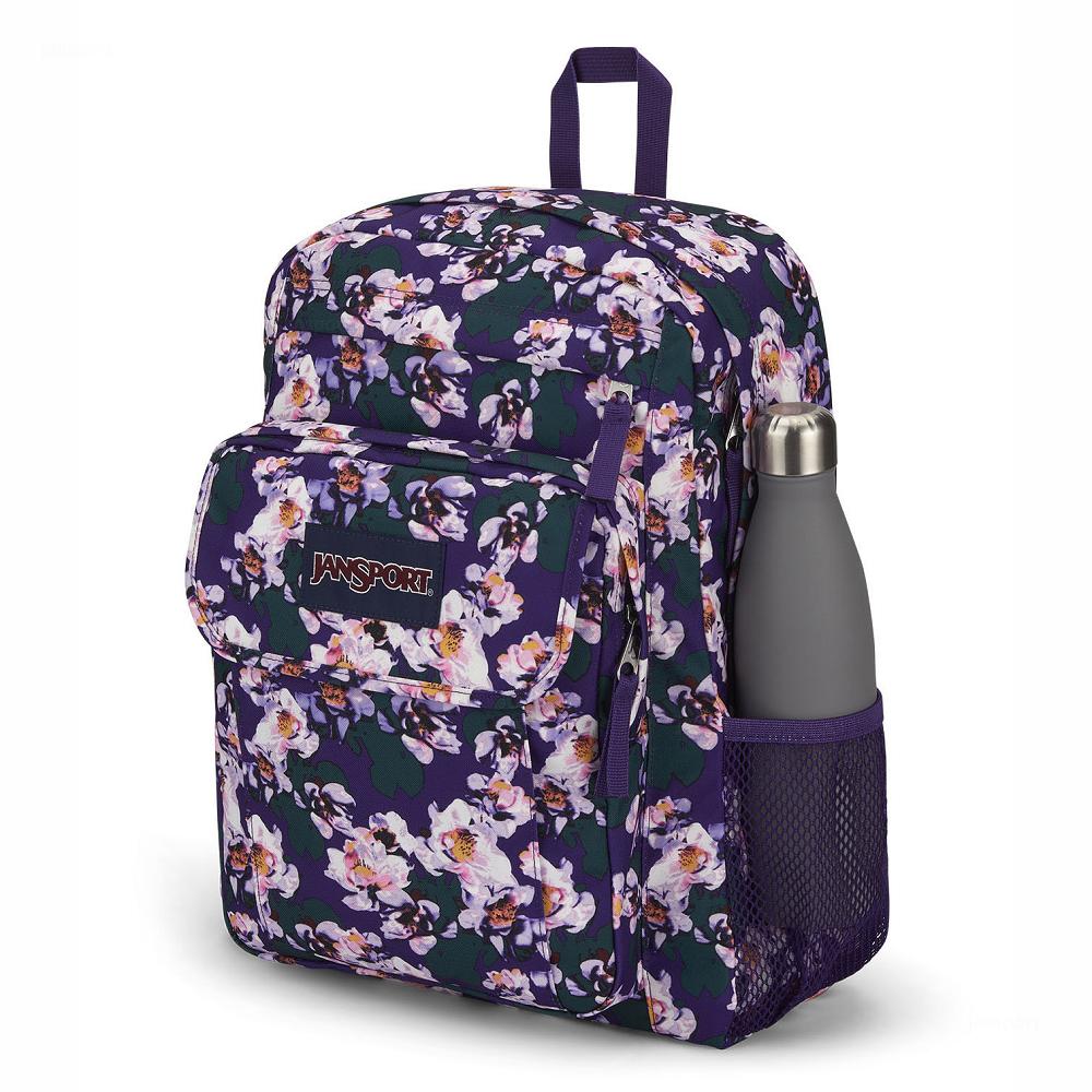 Purple JanSport UNION PACK Laptop Backpacks | US_JS431