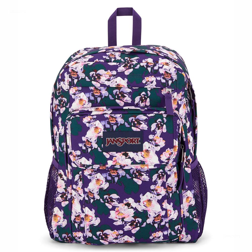 Purple JanSport UNION PACK Laptop Backpacks | US_JS431