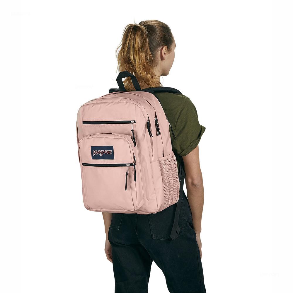 Rose JanSport BIG STUDENT Laptop Backpacks | US_JS577