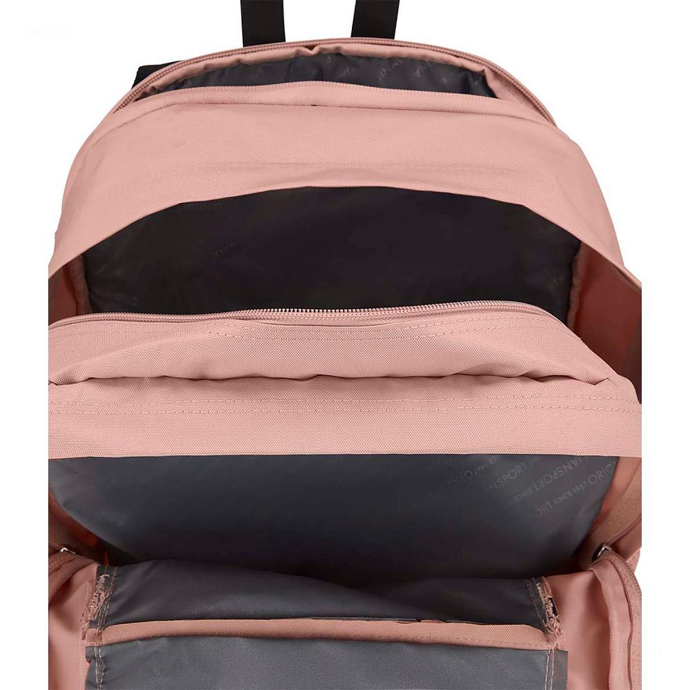 Rose JanSport Main Campus Laptop Backpacks | US_JS087