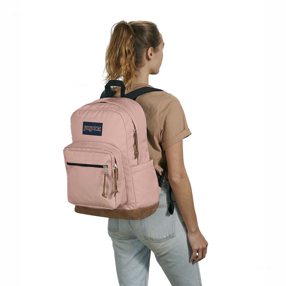 Rose JanSport Right Pack Laptop Backpacks | US_JS227