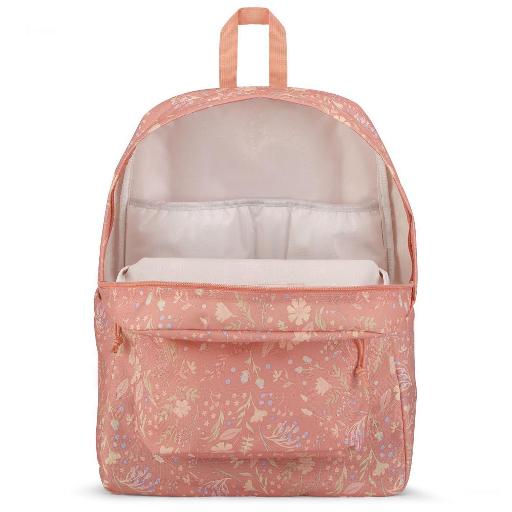 Rose JanSport SuperBreak® Plus Laptop Backpacks | US_JS175