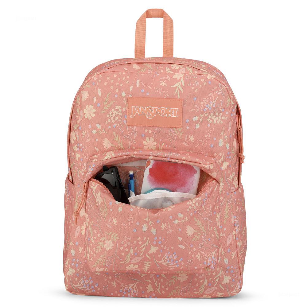 Rose JanSport SuperBreak® Plus Laptop Backpacks | US_JS175