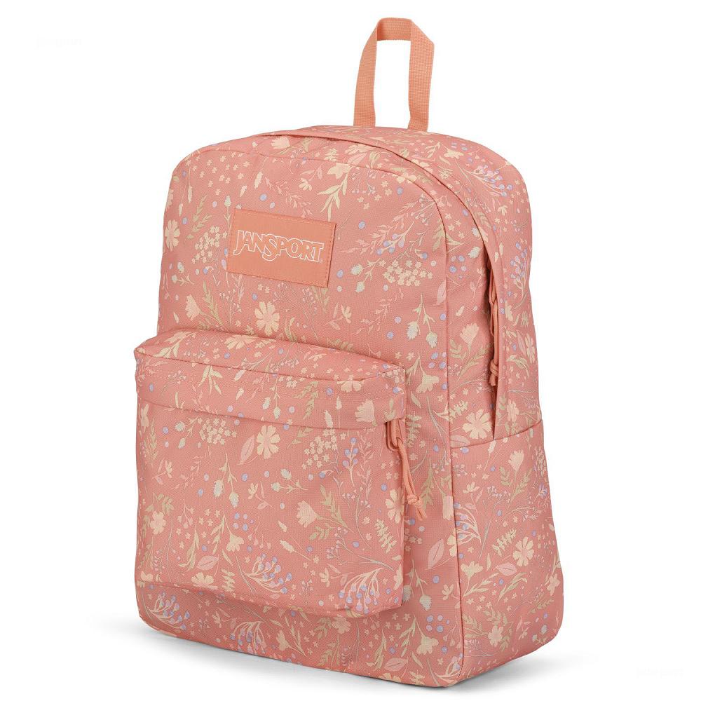 Rose JanSport SuperBreak® Plus Laptop Backpacks | US_JS175