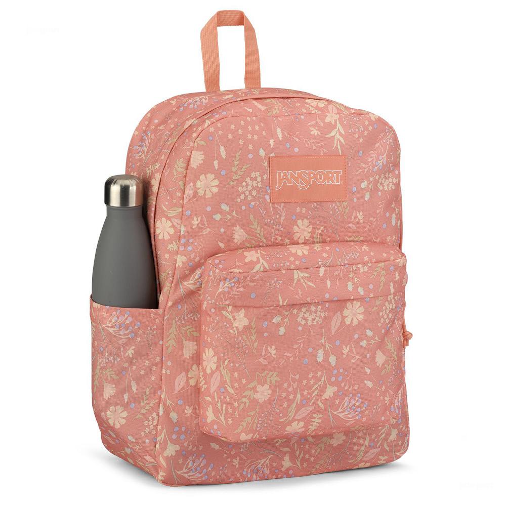 Rose JanSport SuperBreak® Plus Laptop Backpacks | US_JS175