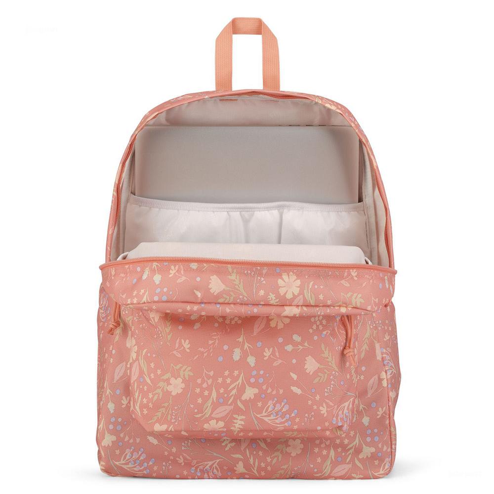 Rose JanSport SuperBreak® Plus Laptop Backpacks | US_JS175