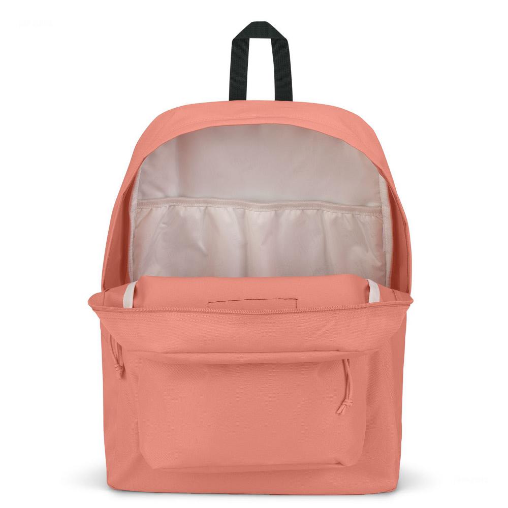 Rose JanSport SuperBreak® Plus Laptop Backpacks | US_JS304