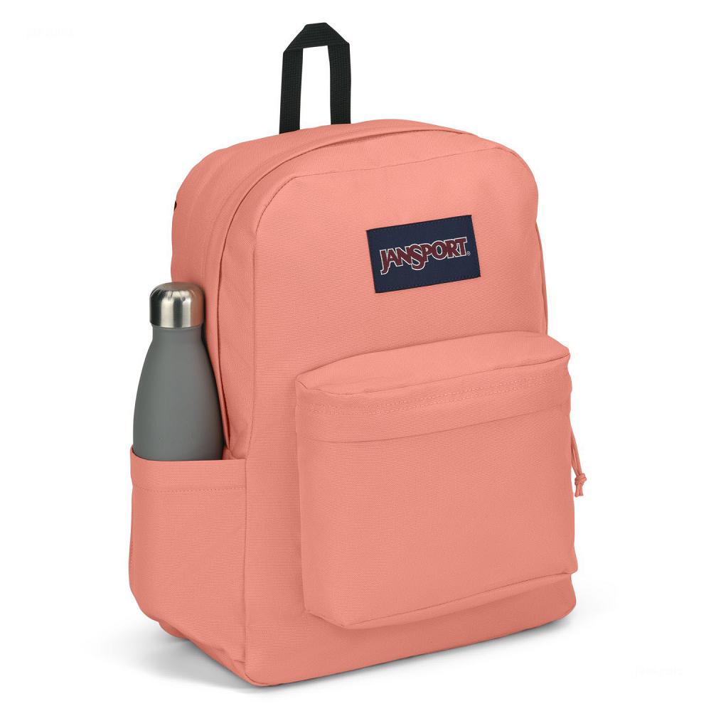 Rose JanSport SuperBreak® Plus Laptop Backpacks | US_JS304