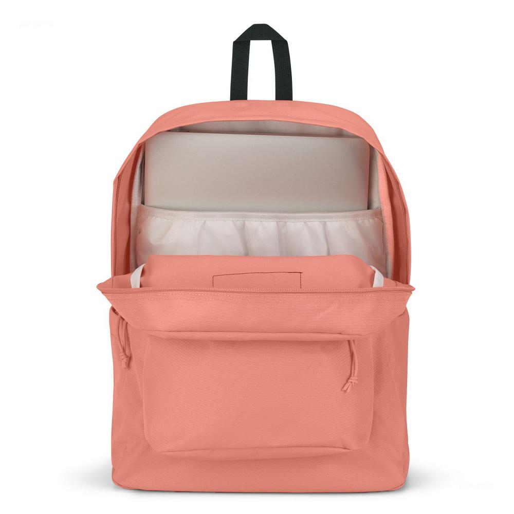 Rose JanSport SuperBreak® Plus Laptop Backpacks | US_JS304