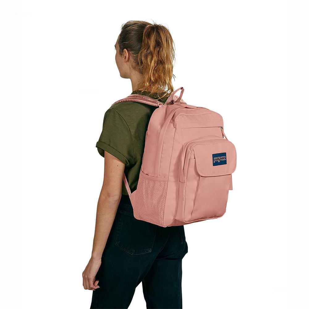 Rose JanSport UNION PACK Laptop Backpacks | US_JS255