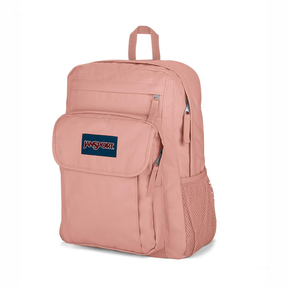 Rose JanSport UNION PACK Laptop Backpacks | US_JS255