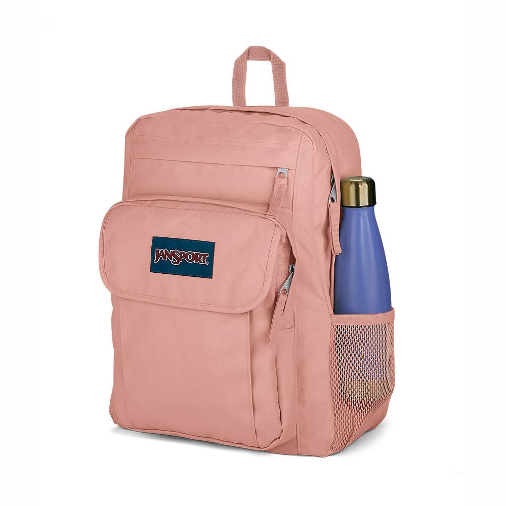 Rose JanSport UNION PACK Laptop Backpacks | US_JS255